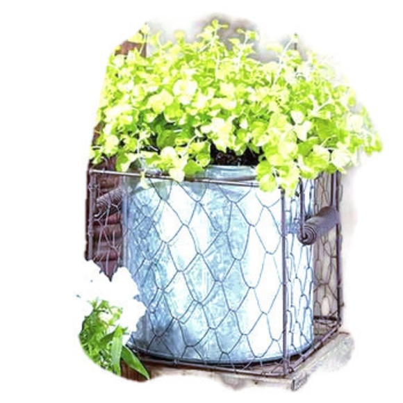 Galvanized Planter In Chicken Wire Basket-Single Planter - Picture 3 of 4